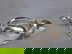 item-210236657=5