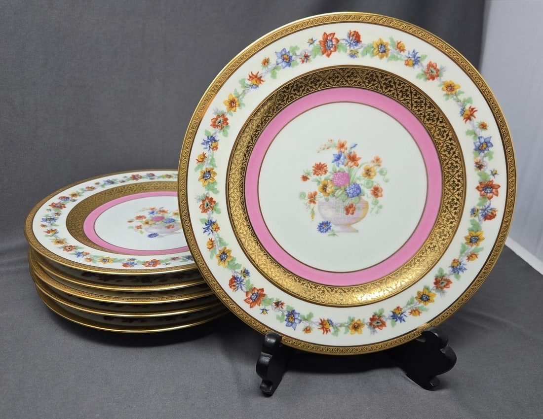 Set 6 Theodore Haviland Limoges Dinner Plates (1 of 11)