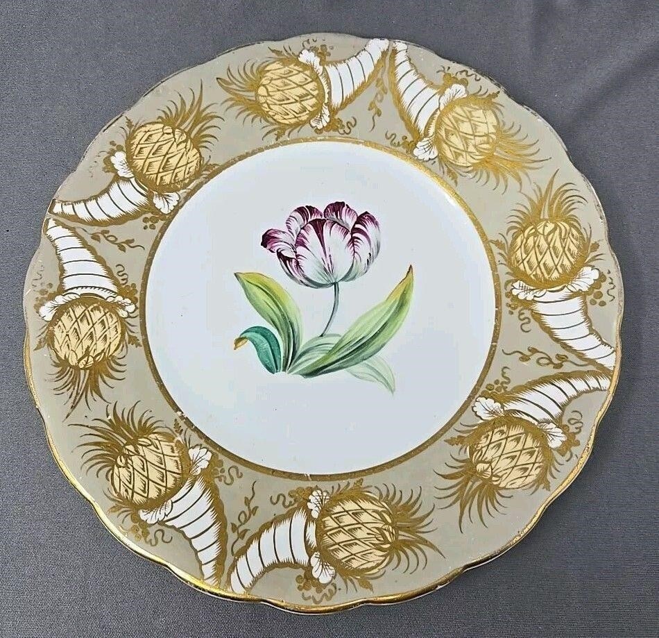 Ridgway Hand Painted Floral Plate 9" C1835 #4: Ridgway hand painted floral center, with cornucopia shaped design on the border, plate. Unmarked with pattern number 3/462. Measures approximately 9 inches diameter. No chips or cracks. There is loss