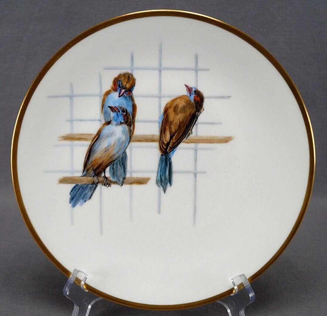 Minton Hand Painted Waxbill Birds Plate Circa 1888: Antique British bone china dinner. Nicely decorated with three hand painted small blue and brown birds in a cage. With gold gilding along the edge. Marked Made in England in green. Also impressed