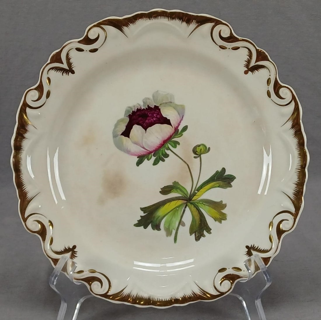Machin Hand Painted 691 Plate C.1825-1830: Antique 19th century British bone china plate in the "Moustache shape" produced by Machin. Decorated with a hand painted purple and white flower. Gold highlights along the relief molded edge. Unmarked