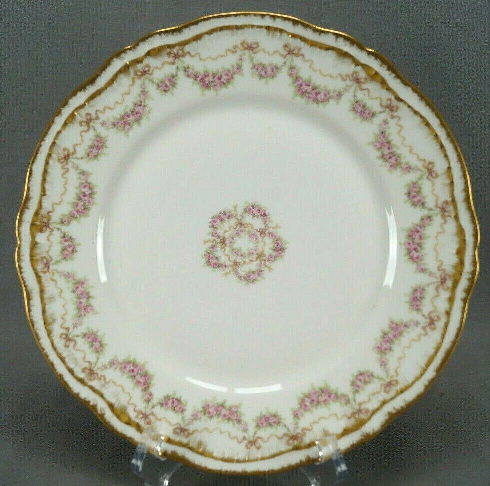 Haviland Limoges Schleiger 842 9 3/4 Plate (1 of 11)