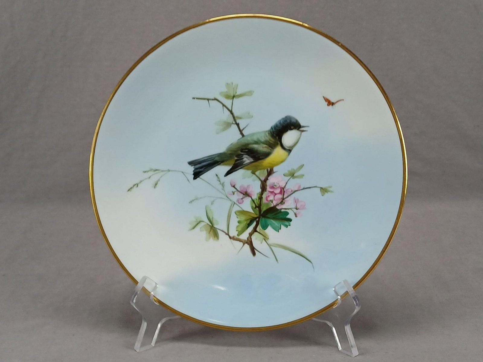 Antique British HP Bird Butterfly 9 3/8" Plate: Antique British bone china plate. Decorated with a hand painted bird on a branch with pink blossoms over a blue background. Also has a small orange and black butterfly. Gold gilding along the edge. Un