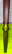item-207960219=5