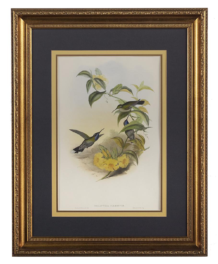 Three Gould & Richter Avian Lithographs (1 of 3)