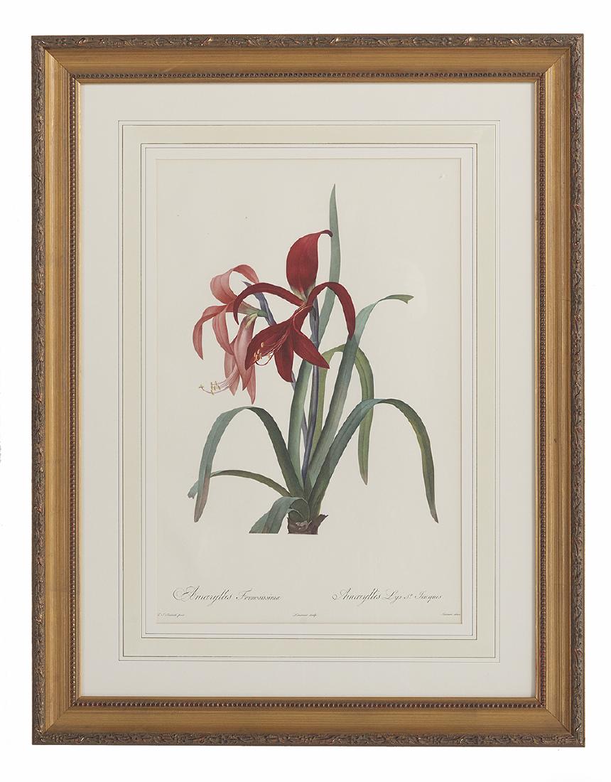 After Pierre-Joseph Redoute (French, 1759-1840) (1 of 2)