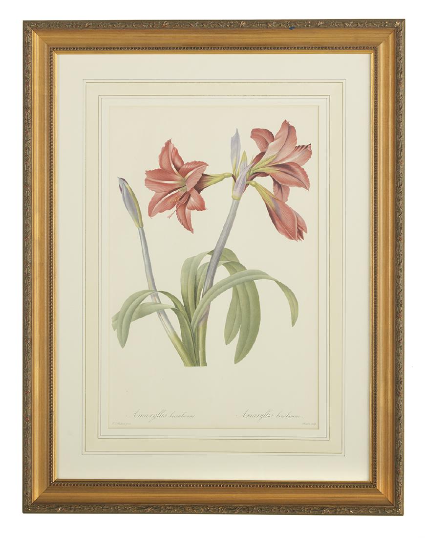 After Pierre-Joseph Redoute (French, 1759-1840) (1 of 2)