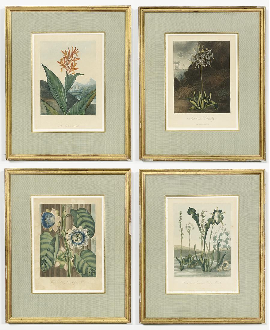 Dr. Robert John Thornton (British, 1768-1837) (1 of 9)