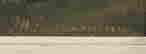 item-64116636=2