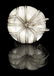 Unusual Mother-of-Pearl and Diamond Ring