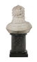 Italian Carved Marble Bust of a Woman - 2
