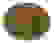 item-82742430=5