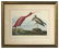 After John James Audubon (American, 1785-1851)