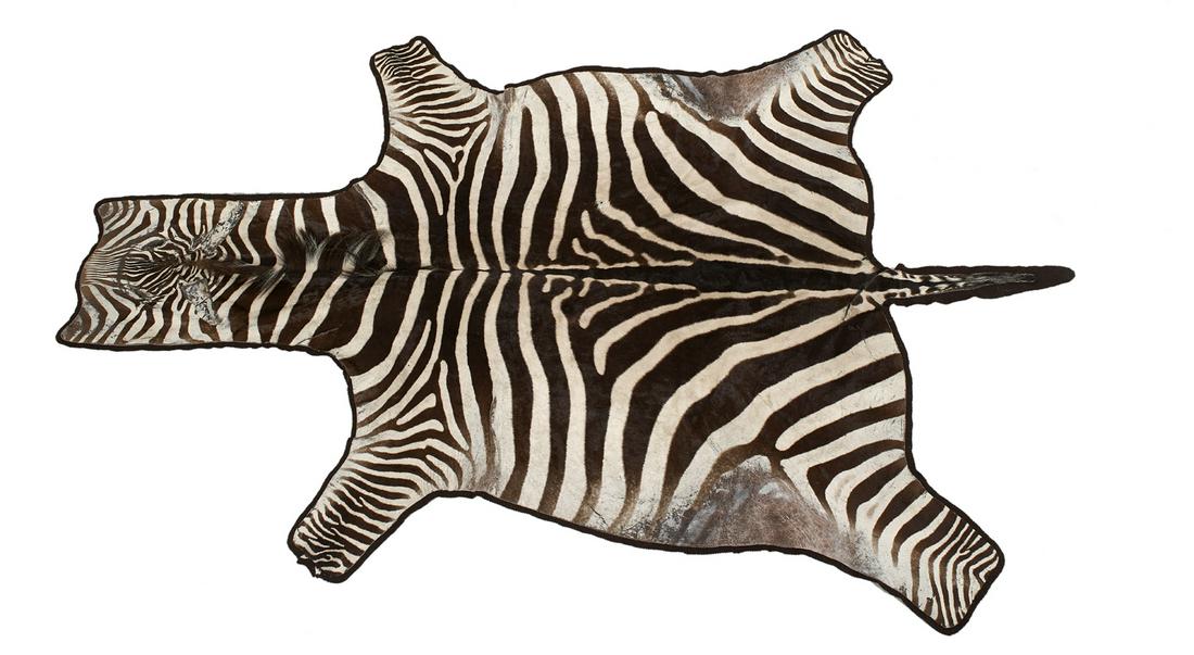 Zebra Rug (1 of 1)