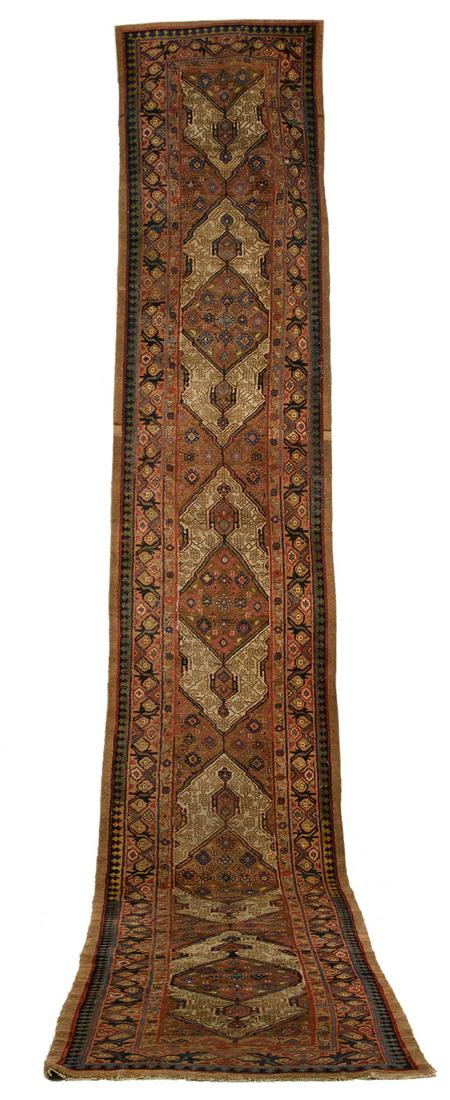 Malayer Runner (1 of 1)