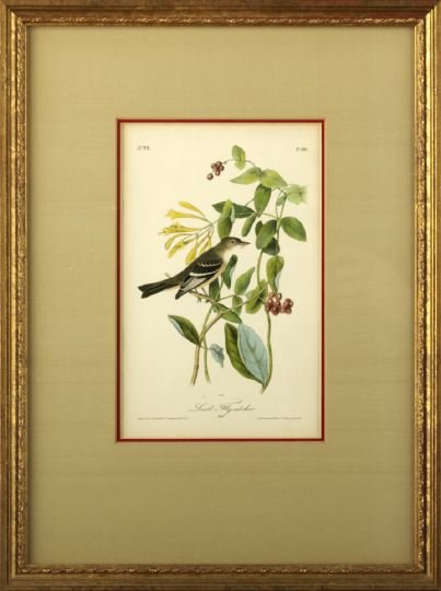After John James Audubon (American, 1785-1851): After John James Audubon (American, 1785-1851) "Common Troupial", plate 499, and "Least Flycatcher", plate 491, pair of hand-colored lithographs, Octavo edition, printed and colored by J. T. Bowen, si