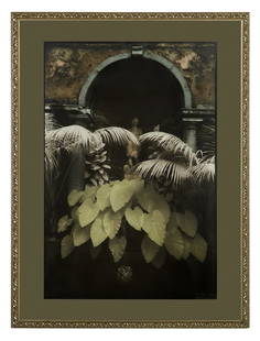 Sandra Russell Clark (US/Louisiana, b. 1949): Sandra Russell Clark (American/Louisiana, b. 1949) "Isola Bella, Italy: Garden Reflection Series", ca. 1980 toned and hand-colored photograph Matted, glazed and framed. sight 39-1/2" x 26-1/4",