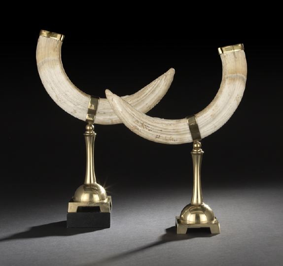 Pair of Dramatic Sculpted Tusks-on-Stands: Pair of Dramatic Sculpted Tusks-on-Stands, the composite bodies realistically carved in the form of a pair of curved tusks with brass caps, mounted on attractive brass display stands, h. 21", l. 16".