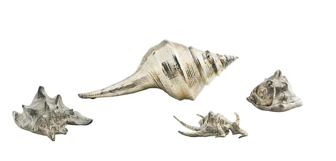 Four Metal-Clad Seashells (1 of 2)