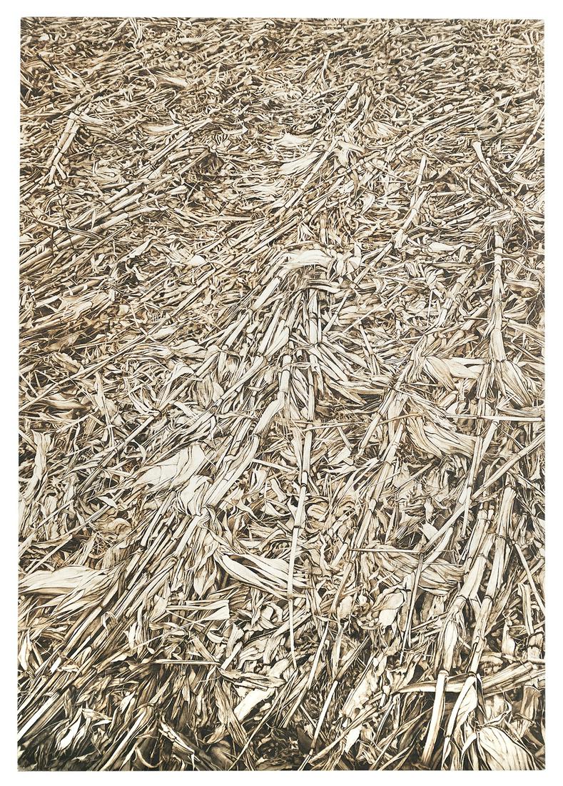 Mary Neumuth Mito (American/New Mexico, b. 1944): Mary Neumuth Mito (American/New Mexico, b. 1944) "Hilldale Cornstalks", 1984 oil on canvas dated "3/31/84" and with a "Gerald Peters Gallery, Santa Fe, New Mexico" label with artist and title en verso