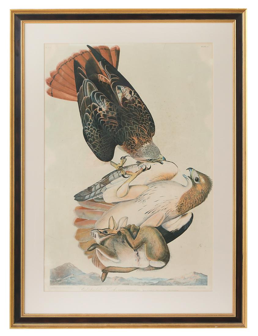 After John James Audubon (American, 1785-1851) (1 of 1)