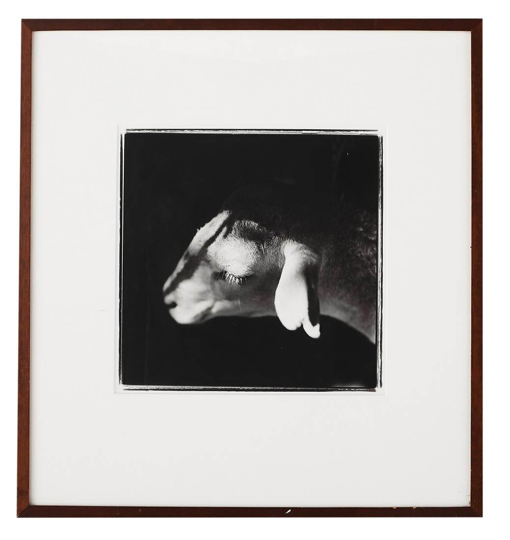 Keith Carter, (American, b. 1948): Keith Carter (American, b. 1948) "Billy", 1993 gelatin silver print pencil-signed, numbered "17/50" and dated en verso. Matted, glazed and framed. sight 15-3/4" x 15-3/4", sheet 20" x 16", framed 29"