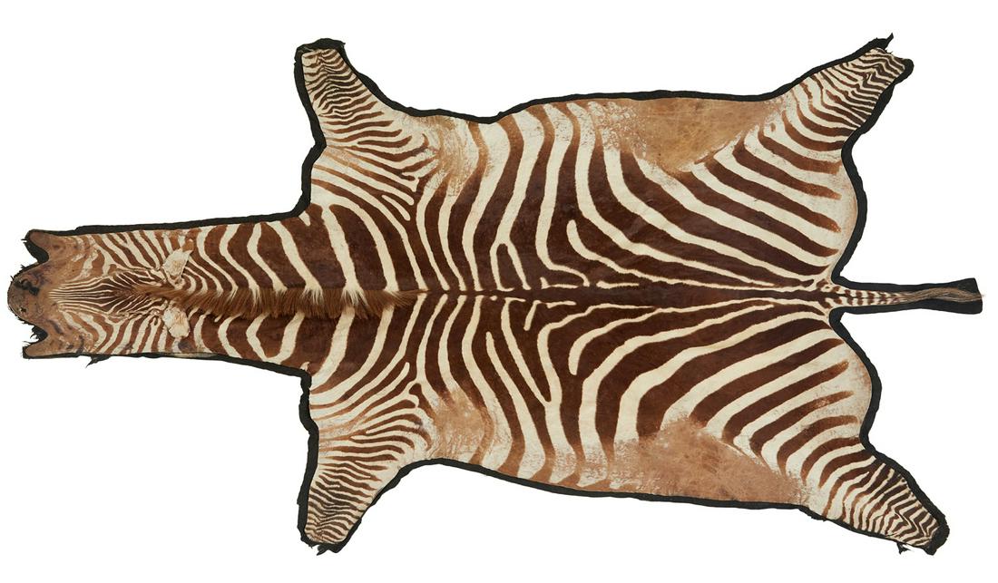 Zebra Hide Rug (1 of 1)