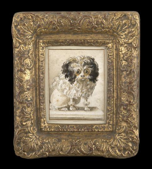Attr. to J. B. Delamarre (French, 18th C.): Attributed to Jacques Barthelemy Delamarre (French, 18th century) "Portrait of a Wide-Eyed Poodle", pen and ink and wash on paper, reverse signed "DeLamarre", sight 3-1/2" x 2-3/4". Glazed and present