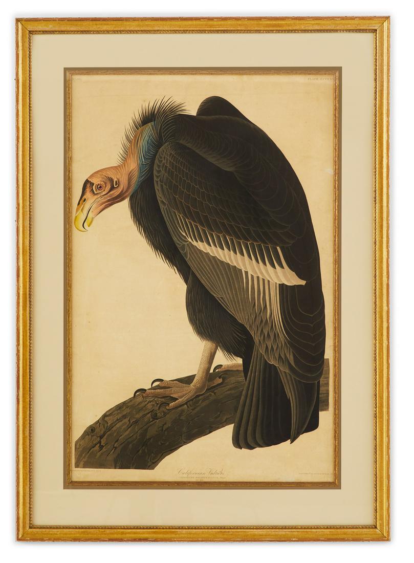 After John James Audubon (USA, 1785-1851) (1 of 4)