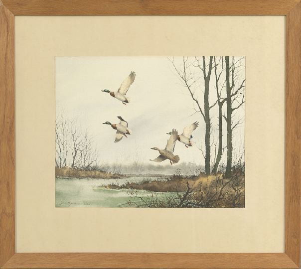 David Hagerbaumer (American/California, b. 1921): David Hagerbaumer (American/California, b. 1921) "Mallards in Flight", watercolor on paper, signed and dated lower left "David Hagerbaumer 1958", sight 14" x 18". Glazed, matted and framed.