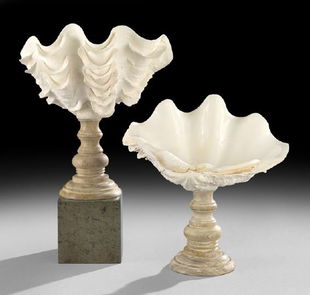 Tridacna Squamosa Ruffled Clam Shell May 05 2018 Vero Beach Auction In Fl