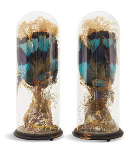 Pair of Victorian Taxidermied Birds: Pair of Victorian Taxidermied Birds in Glass Domes second half 19th century, English or American, the colorful birds mounted with plants on painted plaster bases depicting rocky outcroppings, on