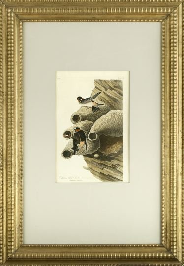 After John James Audubon (American, 1785-1851): After John James Audubon (American, 1785-1851) "Republican Cliff Swallow", plate 68, 1829, hand-colored etching and aquatint, from the Birds of America, Havell edition, sight 20" x 12-3/4". Glazed, ma