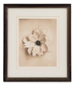 David Halliday (American, b. 1958)