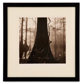 David Halliday (American, b. 1958)