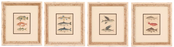 Four German Hand-Colored Engravings of Fish