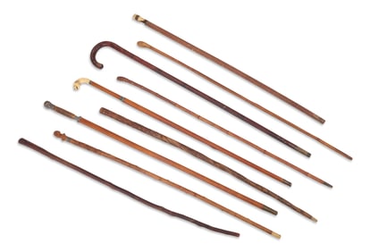 Nine Walking Sticks and Canes