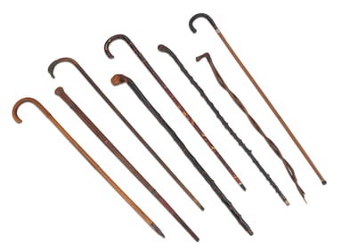 Eight Walking Sticks and Canes