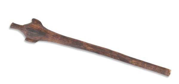 Fijian Rootstock Vunikau Waka