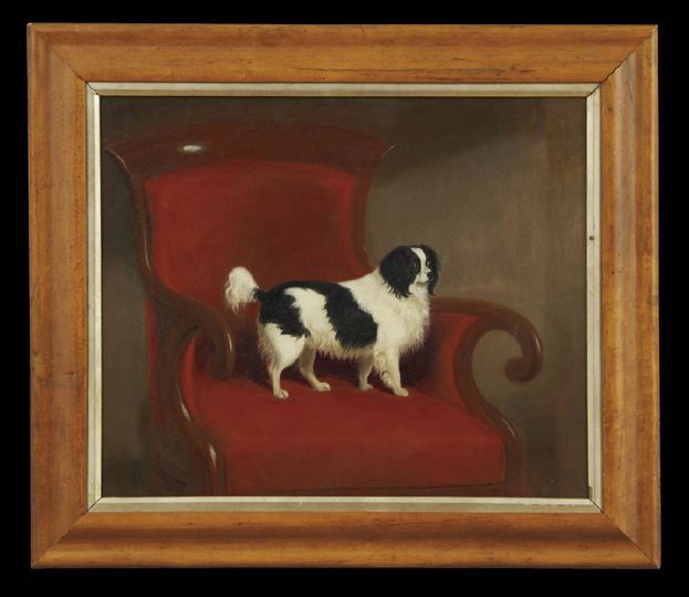 British School (Fourth Quarter 19th Century): British School (Fourth Quarter 19th Century), "Black and White Spaniel in a William IV Chair", oil on canvas, unsigned, 14" x 17". Presented in a birds-eye maple frame with a silvered liner.