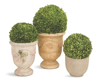 Three Garden Pots with Dried Boxwood
