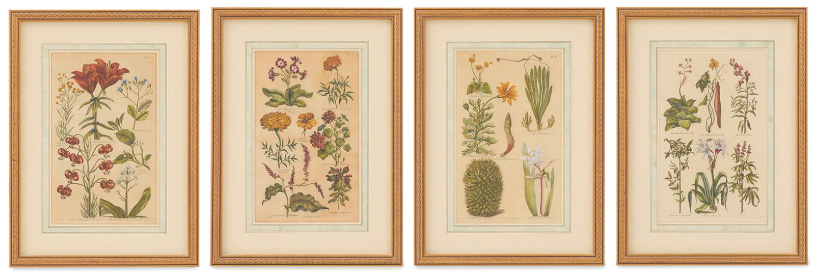 Four British Hand-Colored Botanical Engravings (1 of 5)