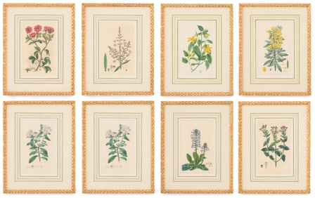 Eight British Hand-Colored Botanical Engravings
