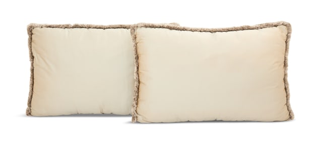 Pair of Custom Silk Pillows