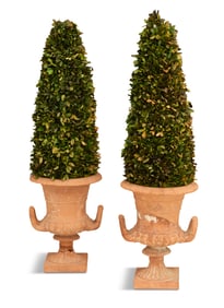 Pair of Terracotta Urns with Dried Topiaries
