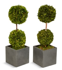 Pair of Faux Boxwood Topiaries