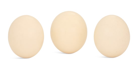 Collection of Three Ostrich Eggs