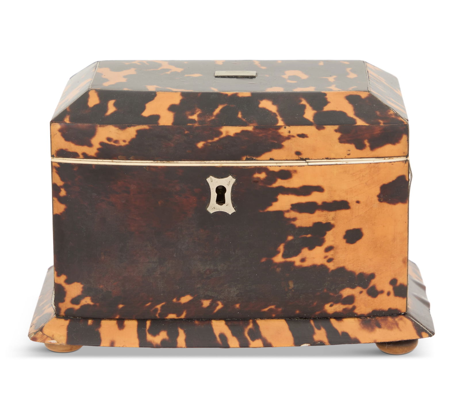 William IV Tortoiseshell Tea Caddy (1 of 5)