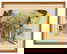 item-210720921=1