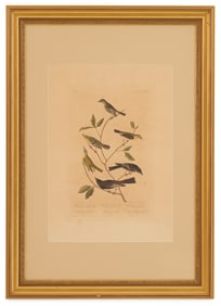 After John James Audubon (US, 1785-1851)